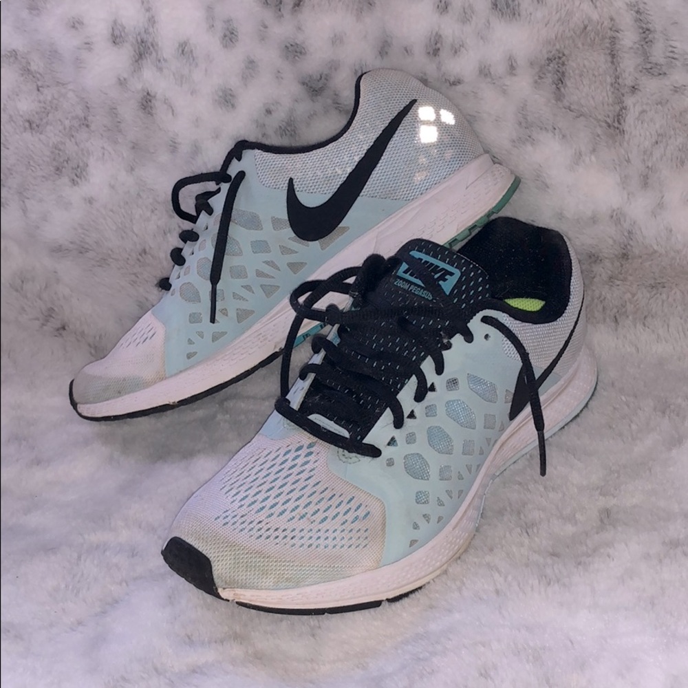 Nike Zoom Pegasus 31